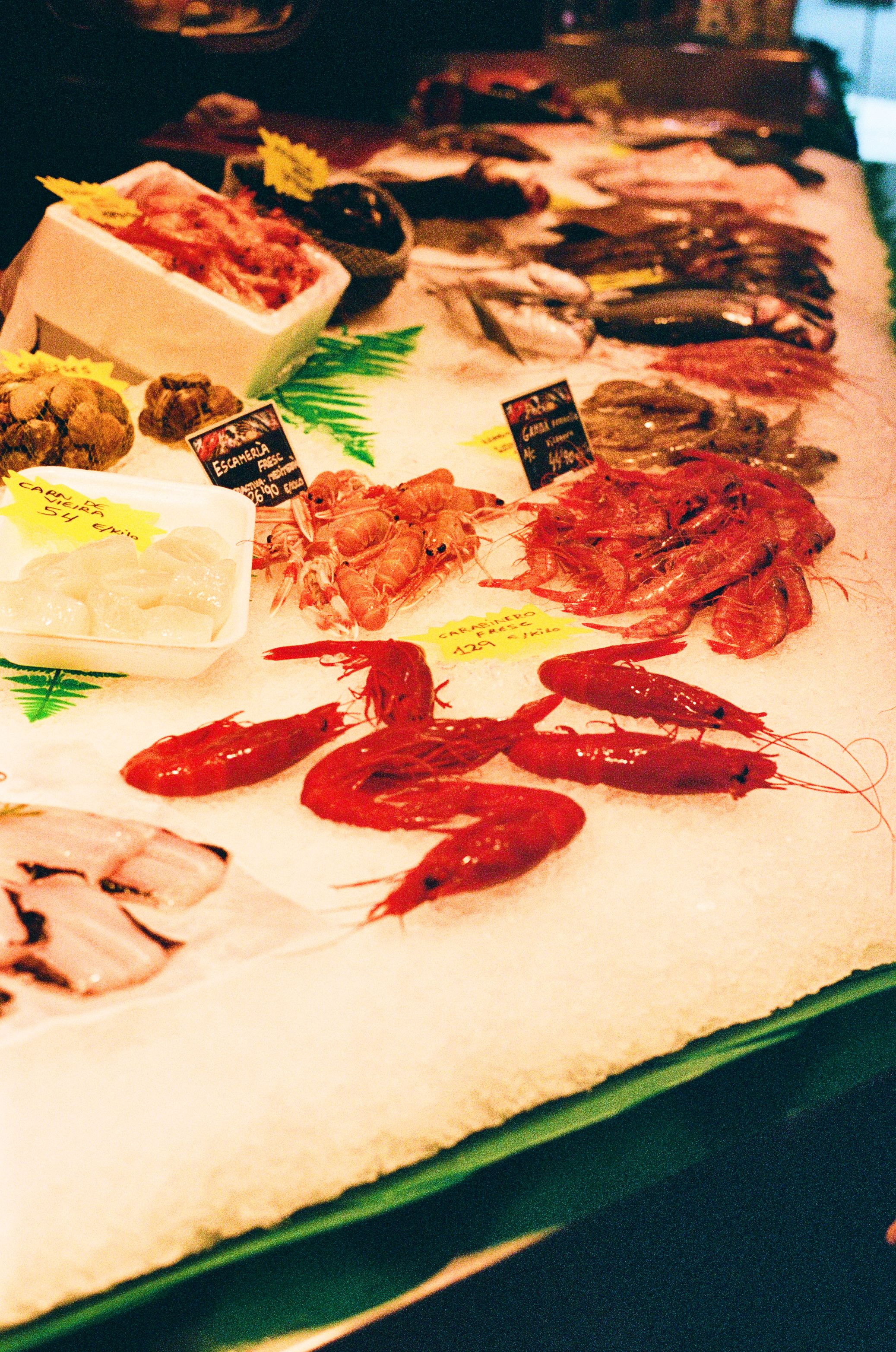 Mercat-Santa-Catarina__seafood-detail-shot_P2